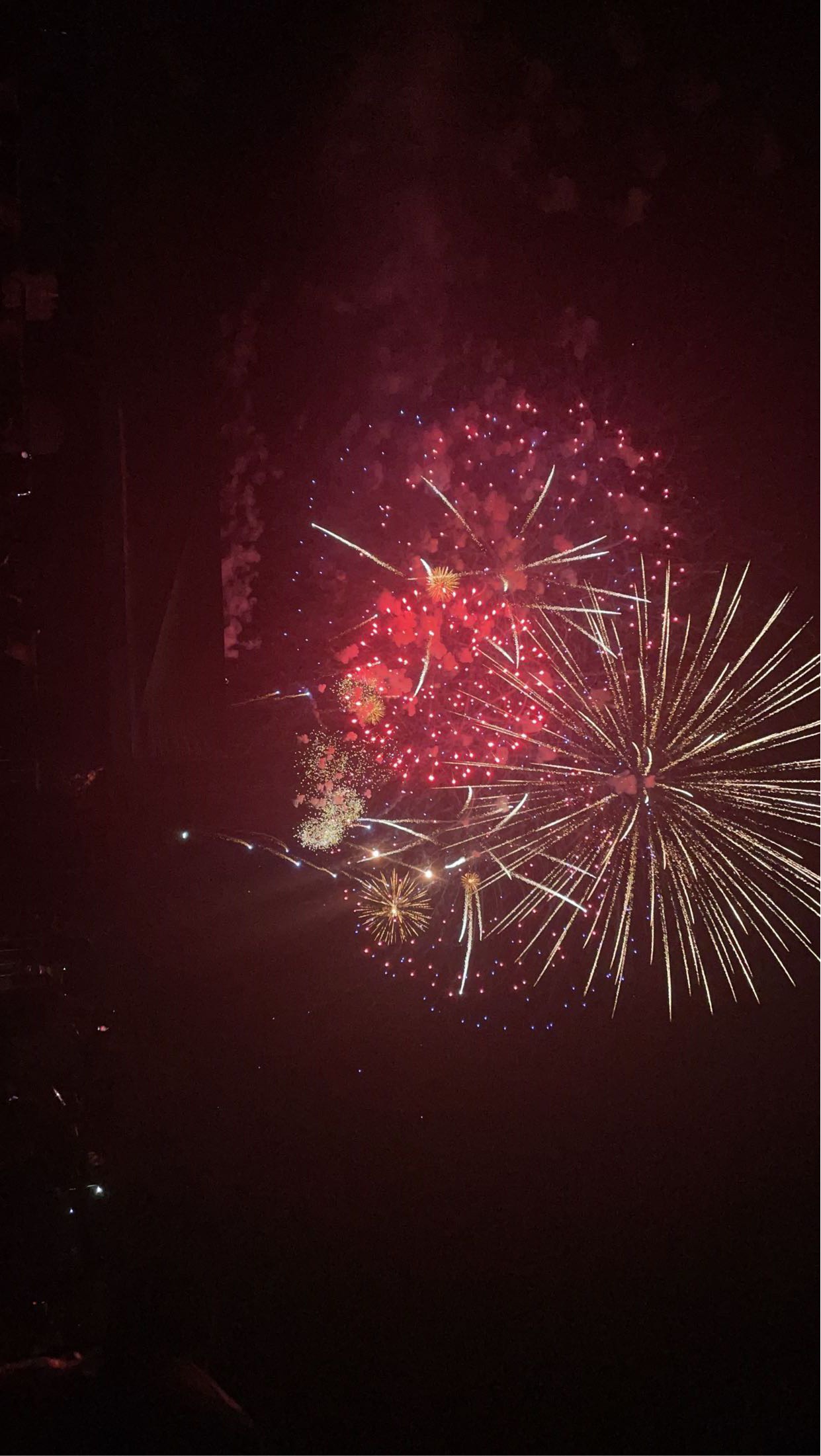 Fourth of July Fireworks light up the night sky in hues of  red, white and gold. 