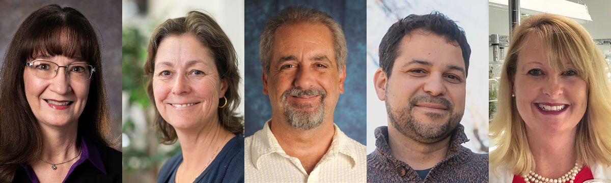 Headshots of the faculty that were nominated for the Conference USA Faculty Award.