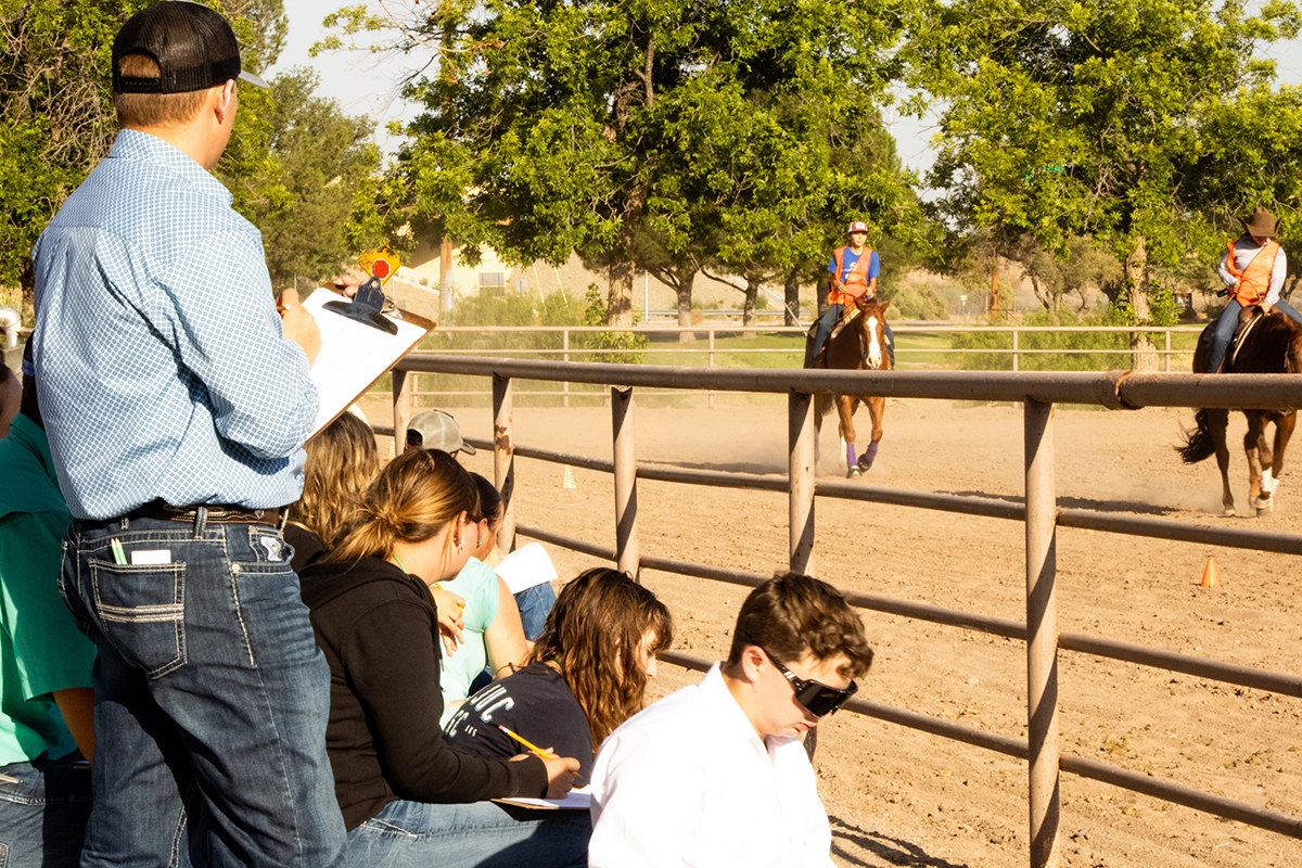 4-H students judging horses at the annual 4-H conference/competition at the NMSU campus.